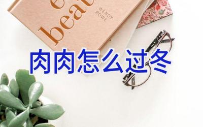 肉肉怎么过冬插图 肉肉怎么过冬插图