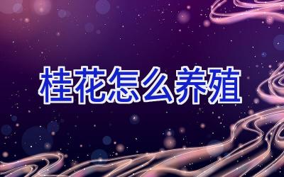 桂花怎么养殖插图