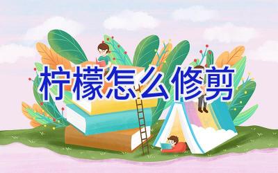 柠檬怎么修剪插图 柠檬怎么修剪插图