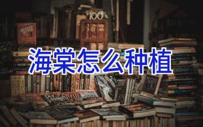 海棠怎么种植插图