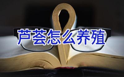 芦荟怎么养殖插图