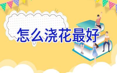 怎么浇花最好插图 怎么浇花最好插图