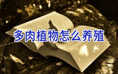 多肉植物怎么养殖插图 多肉植物怎么养殖插图