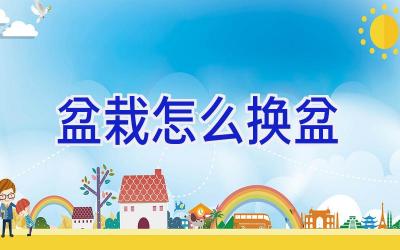 盆栽怎么换盆插图 盆栽怎么换盆插图