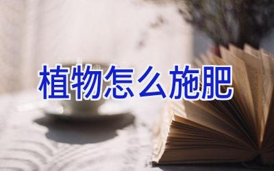 植物怎么施肥插图 植物怎么施肥插图