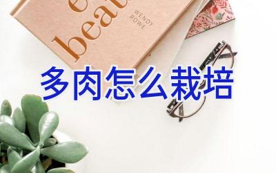 多肉怎么栽培插图 多肉怎么栽培插图