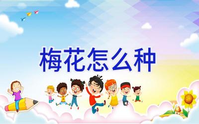 梅花怎么种插图