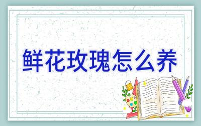 鲜花玫瑰怎么养插图 鲜花玫瑰怎么养插图