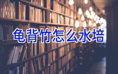 龟背竹怎么水培插图 龟背竹怎么水培插图