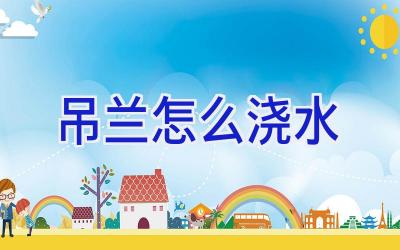 吊兰怎么浇水插图 吊兰怎么浇水插图