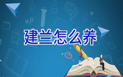 建兰怎么养插图 建兰怎么养插图