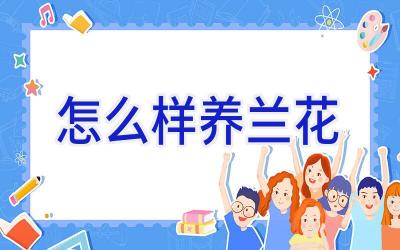 怎么样养兰花插图 怎么样养兰花插图