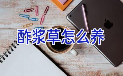 酢浆草怎么养插图 酢浆草怎么养插图