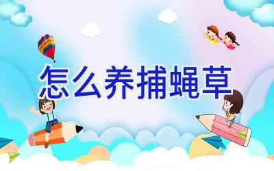 怎么养捕蝇草插图 怎么养捕蝇草插图