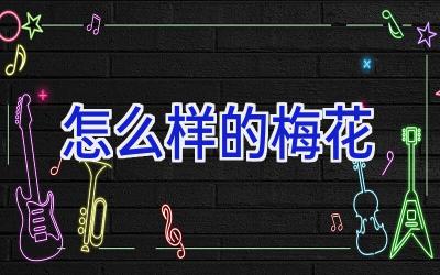 怎么样的梅花插图 怎么样的梅花插图