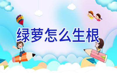 绿萝怎么生根插图 绿萝怎么生根插图