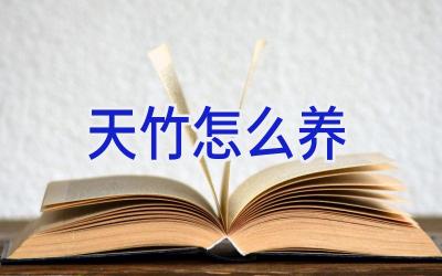 天竹怎么养插图 天竹怎么养插图