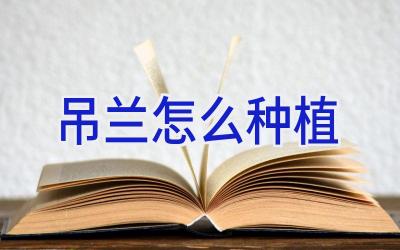 吊兰怎么种植插图 吊兰怎么种植插图