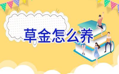 草金怎么养插图 草金怎么养插图