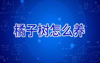 橘子树怎么养插图