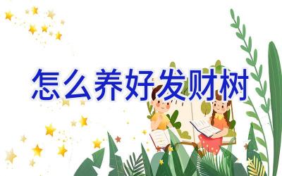 怎么养好发财树插图