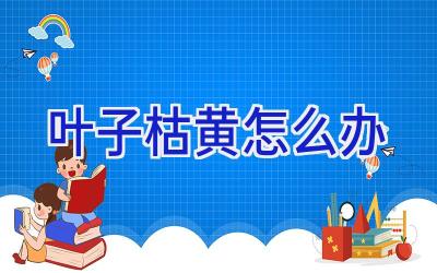 叶子枯黄怎么办插图 叶子枯黄怎么办插图