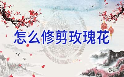怎么修剪玫瑰花插图 怎么修剪玫瑰花插图