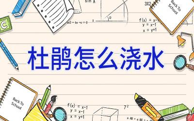 杜鹃怎么浇水插图 杜鹃怎么浇水插图