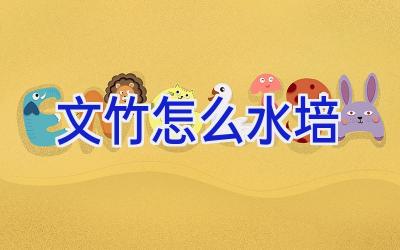 文竹怎么水培插图