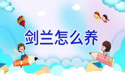 剑兰怎么养插图