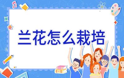 兰花怎么栽培插图 兰花怎么栽培插图