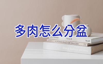 多肉怎么分盆插图