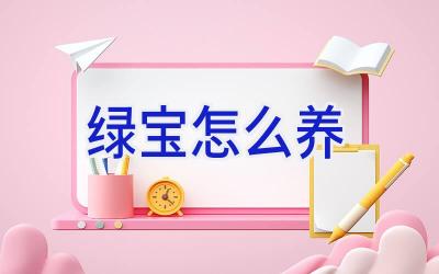 绿宝怎么养插图