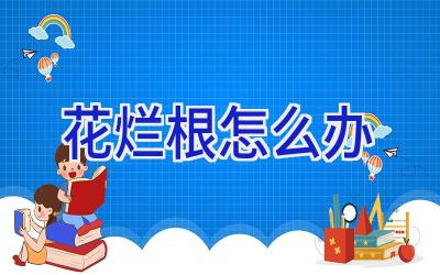 花烂根怎么办插图 花烂根怎么办插图