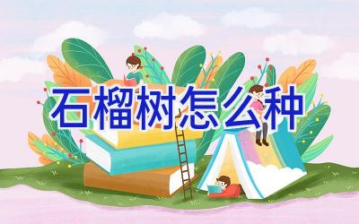 石榴树怎么种插图 石榴树怎么种插图