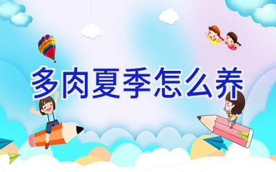 多肉夏季怎么养插图 多肉夏季怎么养插图