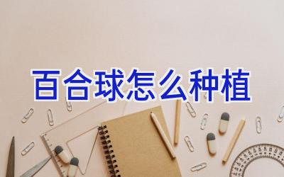 百合球怎么种植插图