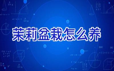 茉莉盆栽怎么养插图 茉莉盆栽怎么养插图