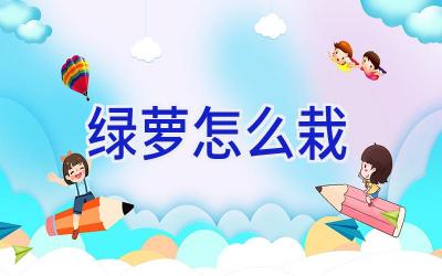 绿萝怎么栽插图 绿萝怎么栽插图