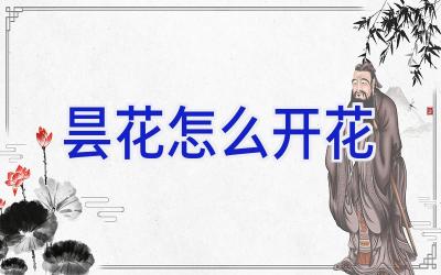 昙花怎么开花插图 昙花怎么开花插图