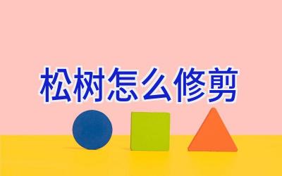 松树怎么修剪插图