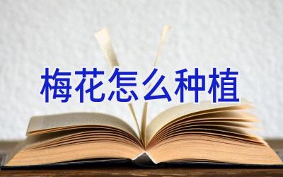 梅花怎么种植插图 梅花怎么种植插图