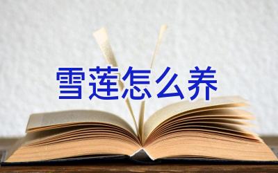 雪莲怎么养插图 雪莲怎么养插图