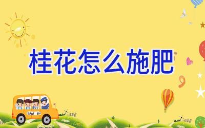 桂花怎么施肥插图