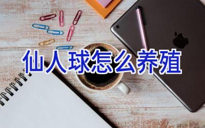 仙人球怎么养殖插图