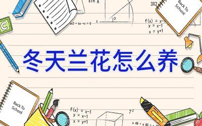 冬天兰花怎么养插图 冬天兰花怎么养插图