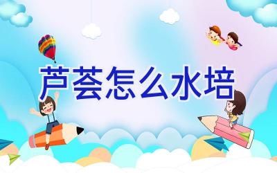 芦荟怎么水培插图 芦荟怎么水培插图