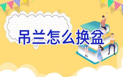 吊兰怎么换盆插图 吊兰怎么换盆插图