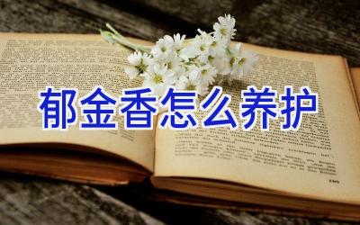 郁金香怎么养护插图 郁金香怎么养护插图