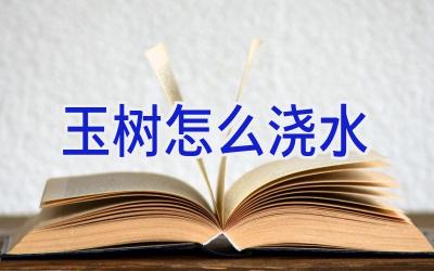 玉树怎么浇水插图 玉树怎么浇水插图